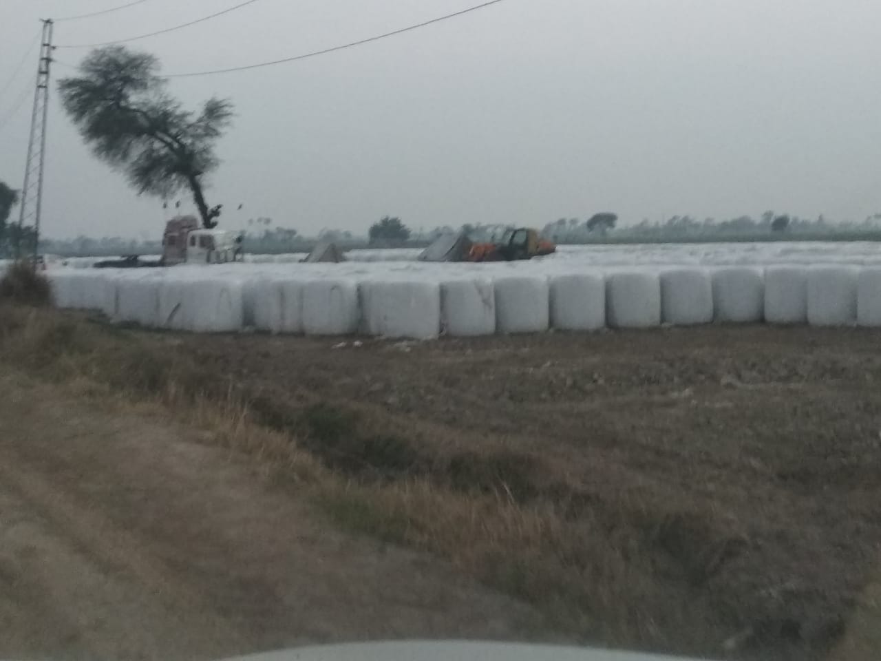 Corn Silage and Wheat straw